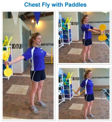 chest fly with paddles