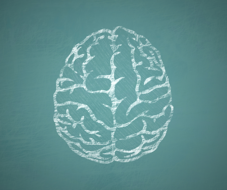 sketch of brain on green chalkboard