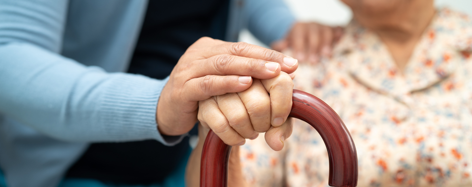 caregiver holding senior's hand with cane