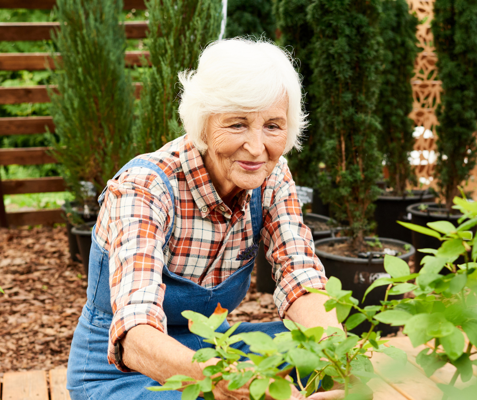 Senior woman gardening