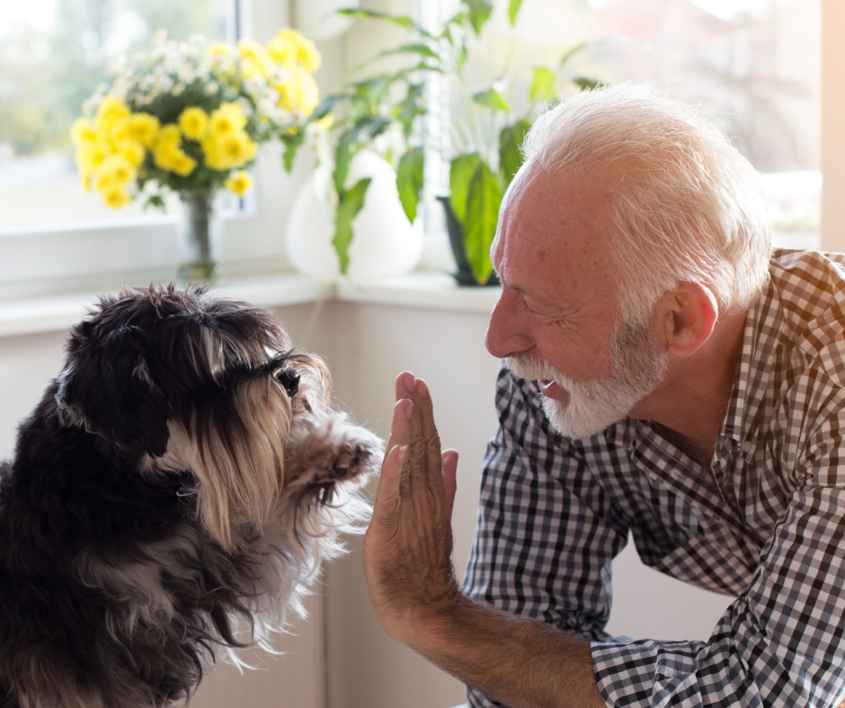 Senior man with dog