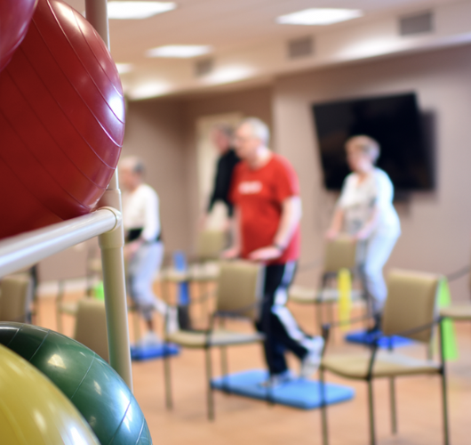 seniors participating in a chair exercise class