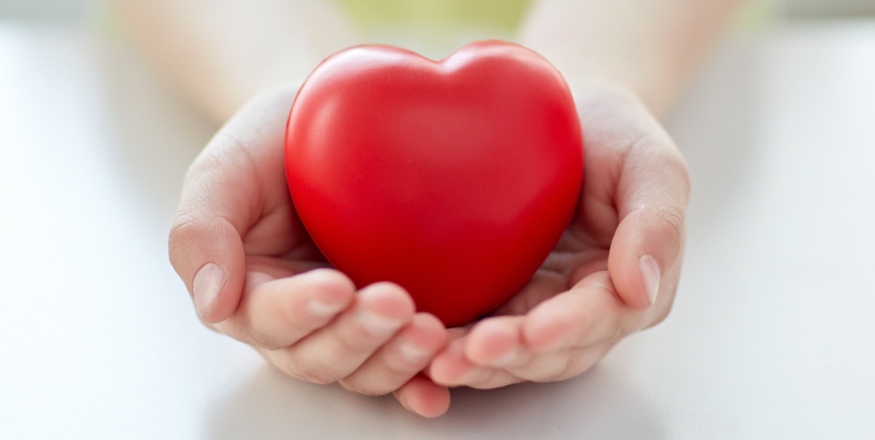 A pair of hands holding a red heart representing Wesley Hospice's Hearts for Hospice program