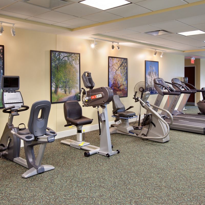 Cardio equipment with colorful pictures on wall